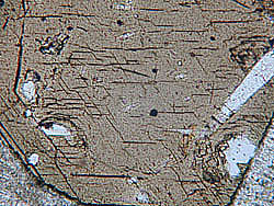 Hornblende brune
