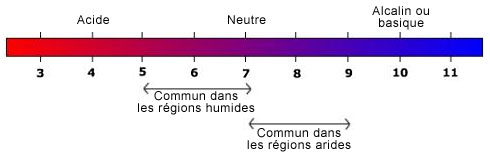 TP.9 - Etude des sols