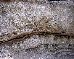 Sel gemme sur gypse (Lac Assal) - Photo AN 04974 - Gryphea