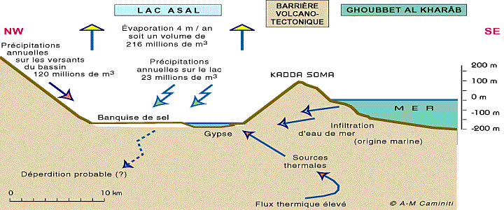 Schema des echanges au niveau du bassin evaporitique du lac Asal